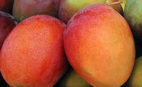 Mango  - Almora Fruits